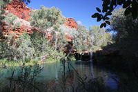 A lovely swimming hole at Fern Pool, Dales Gorge